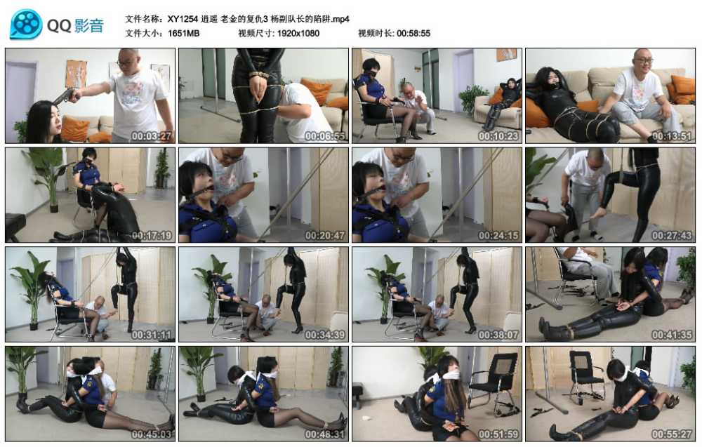 逍遥 老金的复仇3 杨副队长的陷阱