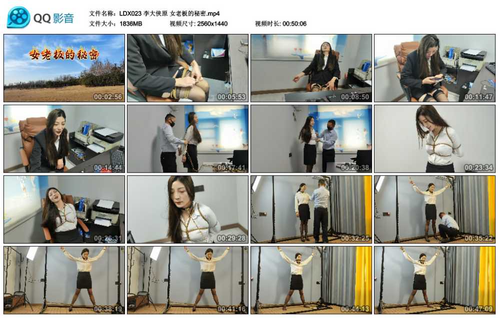 李大侠原 女老板的秘密