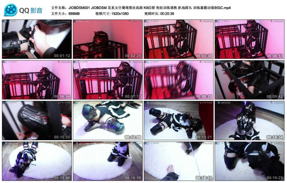 JIOBDSM 花系女仆珊瑚黑丝高跟 K9囚禁 狗奴训练调教 趴地踩头 训练器震动强制GC