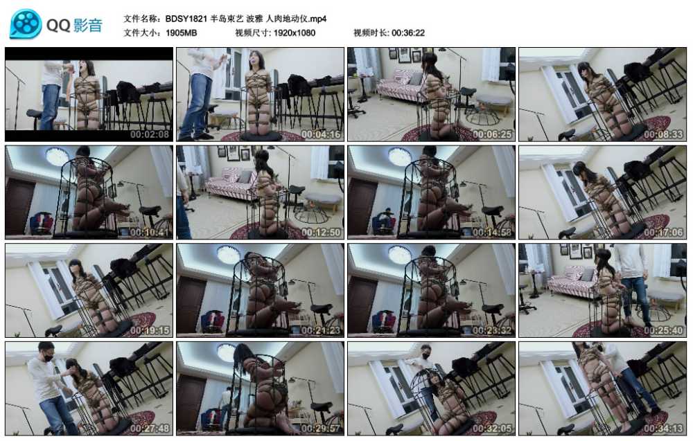 半岛束艺 波雅 人肉地动仪