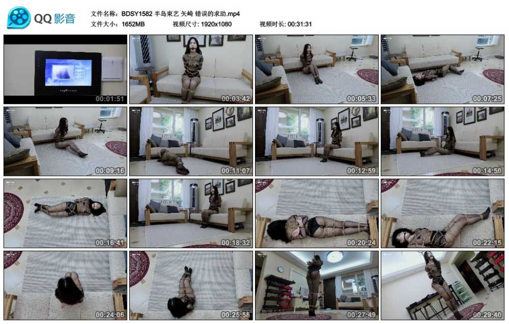 半岛束艺 矢崎 错误的求助