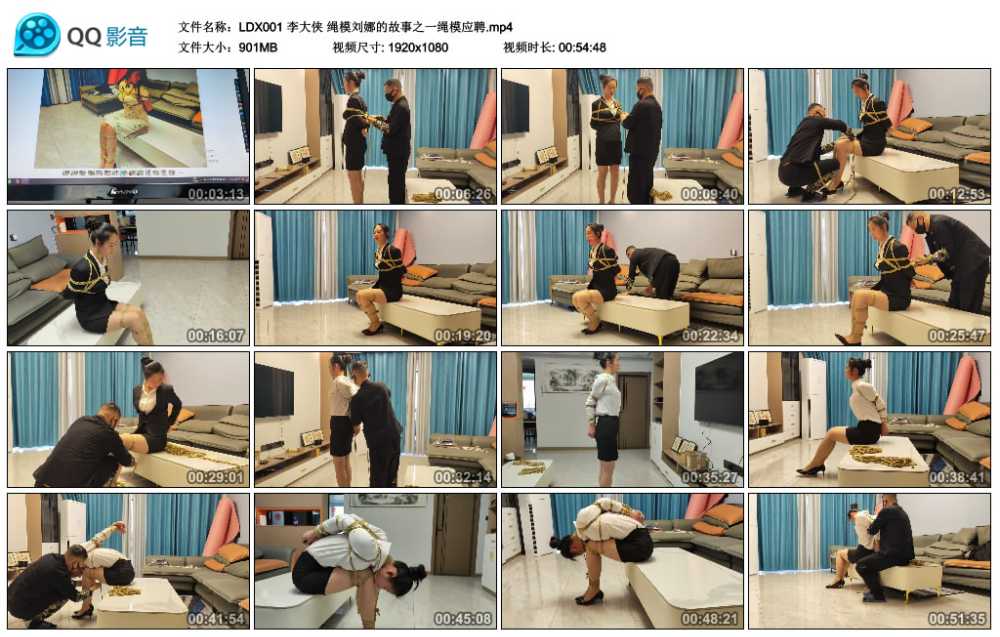 李大侠 绳模刘娜的故事之一绳模应聘