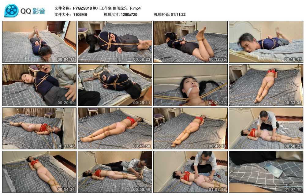 枫叶工作室 独闯虎穴 下