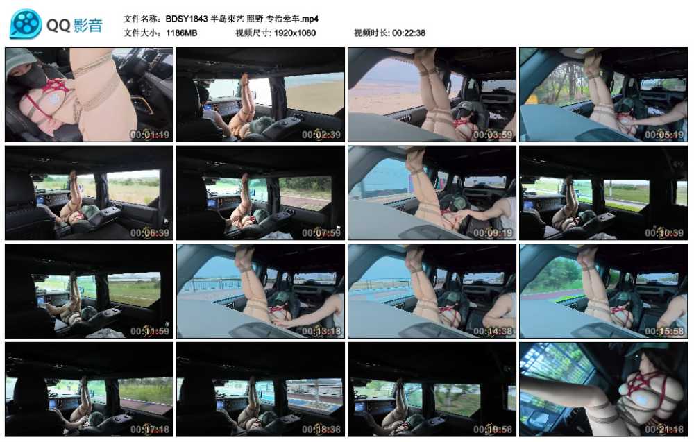 半岛束艺 照野 专治晕车