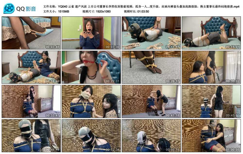 云雀 遗产风波 上市公司董事长李然收到勒索视频，孤身一人独闯龙潭送赎金，母女二...