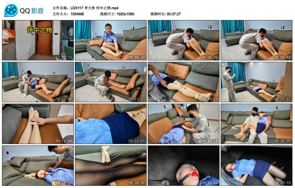 李大侠 怀中之物
