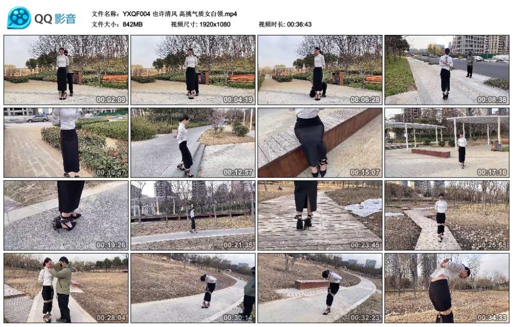 也许清风 高挑气质女白领视频下载