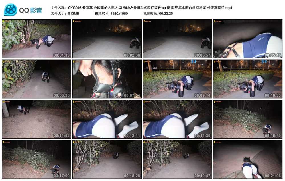 长颜草 公园里的人形犬 霜喵k9户外遛狗式爬行调教 sp 抚摸 死库水配白丝双马尾 长...